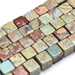 Аква Терра Яшма Натуральные бусины из аква терра яшмы, впечатление яшма, кубические, 10x10x10 мм, отверстие : 1 мм, около 38 шт / нитка, 15.3 дюйм (39 см)