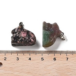 Смешанные камни Природные и синтетические смешанные подвески драгоценных камней, Брелоки для собак с металлическими застежками с платиновым покрытием на дужках, смешанные окрашенные и неокрашенные, 15.5~17.5x21.5~23x10.5~11 мм, отверстие : 3x5.5 мм
