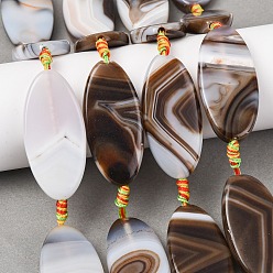 Сиена Натуральные полосатые агатовые бусы, окрашенная и подогревом, лошадиный глаз , цвет охры, 47~48.5x22~23x6.5~9 мм, отверстие : 1.8~2 мм, около 7 шт / нитка, 15.28~15.67'' (38.8~39.8 см)