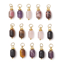 Смешанные камни Природные каменные смешанные подвески, баррель прелести, с 304 фурнитурой из нержавеющей стали, золотые, 16x6 мм, кольца прыжок: 5x0.8 мм, внутренний диаметр: 3 мм