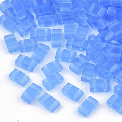 Васильковый 2-дырочные стекло бисер, прозрачные цвета, матовые, прямоугольные, васильковый, 4.5~5.5x2x2~2.5 мм, отверстие : 0.5~0.8 мм