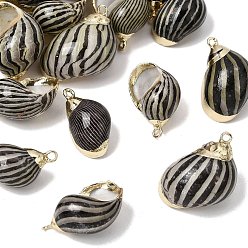 Black Brass & Natural Shell Pendants, Conch Shape Charms, with Golden Plated Edge, Black, 22~28x13~22x10.5~14.5mm, Hole: 1.6mm