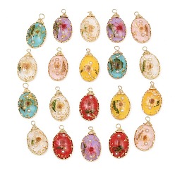 Mixed Color Brass Resin Pendants, Oval Charms, with Dried Flowers & ABS Plastic Imitation Pearl, Mixed Color, 26.5x14x6.5mm, Hole: 3.5mm