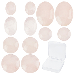 Rose Quartz 36Pcs 6 Style Natural Rose Quartz Cabochons, Half Round/Dome & Oval, 10~18x10~14x4~6mm, 6pcs/style