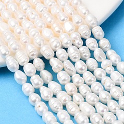 Папайя Оранжевый Нити из натурального культивированного пресноводного жемчуга, рис, класс А, papayawhip, 4~5 мм, отверстие : 0.5 мм, около 54~62 шт / нитка, 13.78~13.98'' (35~35.5 см)