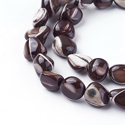 Дригие Морские Ракушки Стеклянные бусы нити, самородки, 5.2~9x5~8x4~7 мм, отверстие : 0.8 мм, около 56~60 шт / нитка, 15.7 дюйм ~ 15.8 дюйм (40~40.3 см)