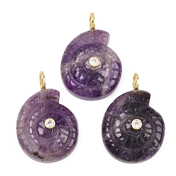 Аметист Подвески из натурального аметиста , Подвески в виде раковин с латунными микропаве из прозрачных кубических цирконий., 33~34x22~23.5x10.5 мм, отверстие : 4.5 мм