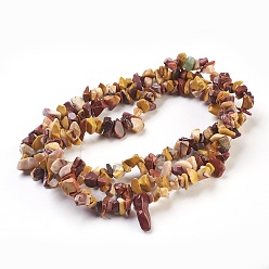 Mookaite Natural Mookaite Beads Strands, Chip, 4~18x3~10mm, Hole: 0.5mm, 80~81cm
