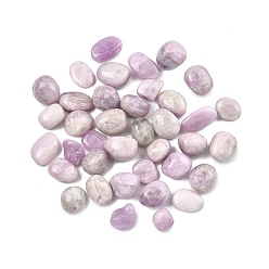 Кунсайт Бусины из натурального кунцита, обваленные камни, нет отверстий / незавершенного, самородки, 15~40.5x11~20x7~19 мм