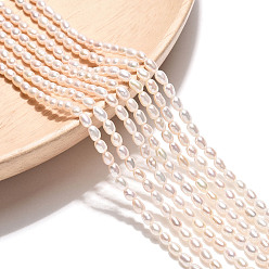 Кремово-белый Нити из натурального культивированного пресноводного жемчуга, рис, оценка 4ab, кремово-белые, 3~4x2~2.5 мм, отверстие : 0.5 мм, около 114~119 шт / нитка, 15.35 дюйм (39 см)