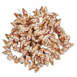 Wheat Natural Spiral Shell Beads Strands, Wheat, 14~20x7~10x6~8mm, Hole: 1mm, 15.35 inch(39cm), 2strands/box