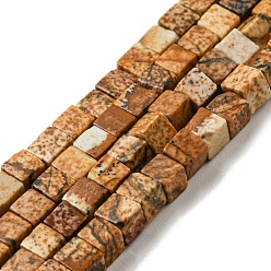 Пейзажный Джаспер Естественного изображения яшмы бисер нитей, кубические, 3~3.5x3~3.5x3~3.5 мм, отверстие : 0.8 мм, около 110 шт / нитка, 14.96 дюйм (38 см)