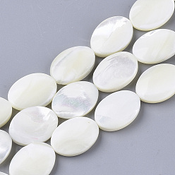 Creamy White Natural Trochid Shell/Trochus Shell Beads Strands, Oval, Creamy White, 18x13x4.5~5.5mm, Hole: 1mm, about 22pcs/Strand, 15.55 inch