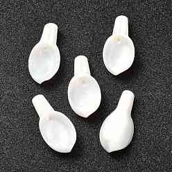 White Natural Freshwater Shell Pendants, Leaf, White, 28~29x13~13.5x20x5mm, Hole: 1mm