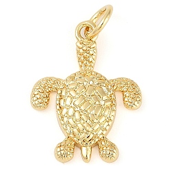 Tortoise Стойки обшивки латунные подвески, долговечный, без кадмия и без свинца, реальный 18 k позолоченный, с целью перехода в кольце, черепаха, 18.5x14x2.5 мм, отверстие : 3.5 мм