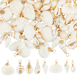 Seashell Color 80Pcs 8 Styles Natural Mixed Shell Pendants, Shell Shape Charms with Copper Wire Wrapped, Golden, Seashell Color, 24.5~26.5mm, 10pcs/style