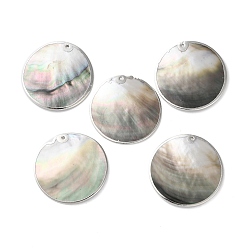 черная губная раковина Подвески-диски из натуральной черной ракушки для губ, с латунной кромкой, платина, 36~41x2~3 мм, отверстие : 1.4~1.5 мм