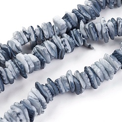 Other Sea Shell Shell Beads Strands, Dyed, Chips, 10~13x8~10x4~6mm, Hole: 0.5mm, about 15.74 inch~16.14 inch(40~41cm)