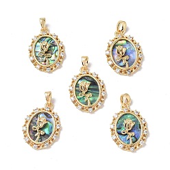 Раковина Кулон с панцирем, с латунными микро проложить кубических выводы циркония, овал с подвеской в виде розы на день святого валентина, 21x15.5x6 мм, отверстие : 5x2.5 мм