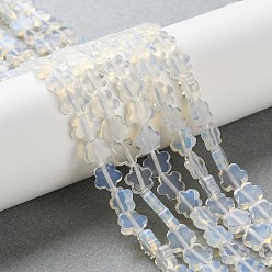 Опал Opalite бисер пряди, цветка сливы, 6~6.5x6x2.5 мм, отверстие : 0.7 мм, около 63 шт / нитка, 14.76'' (37.5 см)