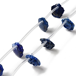 Lapis Lazuli Natural Lapis Lazuli Beads Strands, Flower, 13.5x13.5x5mm, Hole: 0.8mm, about 15pcs/strand, 16.14 inch(41cm)