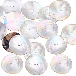 Mixed Color 20Pcs 2-Hole Natural Shell Buttons, Flat Round, Mixed Color, 34x3~5mm, Hole: 2~2.5mm