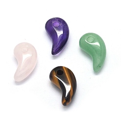 Смешанные камни Природные каменные смешанные подвески, Магатама, 23x12~13x7~8 мм, отверстие : 3 мм