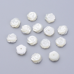 Creamy White Natural Sea Shell Beads, Half-Hole Beads, Flower, Creamy White, 10x4mm, Hole: 1mm
