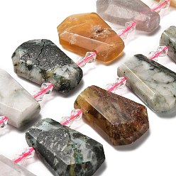 Смешанные камни Нити бусин из натурального дерева агата/тигрового глаза/амазонита/лабрадорита, со стеклянными бусинами, граненые, слеза, Топ пробуренной, 26~30.5x16~22.5x6.5~8.5 мм, отверстие : 1.4 мм, около 18 шт / нитка, 15.28~15.94'' (38.8~40.5 см)