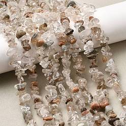 Лодолит Кварц Природного кварца lodolite нитей бисера, чип, 6~15x5~8x2~8 мм, отверстие : 0.8 мм, около 229~235 шт / нитка, 30.31~31.30'' (77~79.5 см)