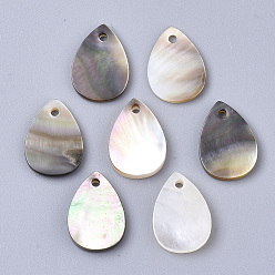 Серый Черные губы подвески оболочки, слеза, серые, 13x9x1~2 мм, отверстие : 1.2 мм