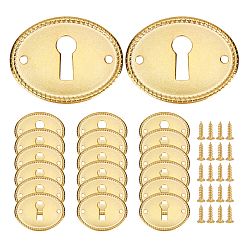 Золотой 20шт. винтажные таблички с ключами из цинкового сплава, розетки замка, с винтом 40 шт., овальные, золотые, 29.5x37.5x1 мм