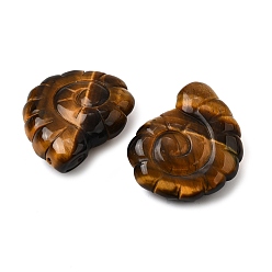 Тигровый глаз Природных тигровый глаз подвески, двухсторонний резной наутилус с верхним сверлением, 29x25x9.5 мм, отверстие : 1 мм