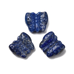 Ляпис-Лазурь Резные бусины из натурального лазурита, бабочка, 13.5~14x15.5~16x6.5~7 мм, отверстие : 1.4 мм