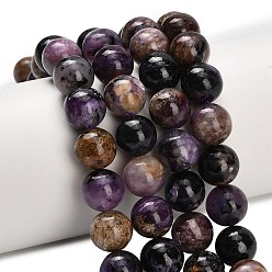 Чароит Естественно чароитовыми бисер пряди, класса AB, круглые, 10 мм, отверстие : 1.2 мм, около 33 шт / нитка, 15.16'' (38.5 см)