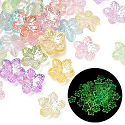Gemischte Farbe Acryl-Perlenkappen, Blume, UV-Beschichtung, Leuchten im Dunkeln, Gemischte Farbe, 12x12.5x4 mm, Bohrung: 1 mm