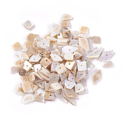 Бежевый Стеклянные бусы, окрашенные, чипсы наггетс, бежевые, 6.2~15.2x4.3~7.3x0.4~3.8 мм, отверстие : 1 мм