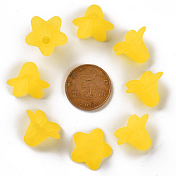 Champagne Yellow Transparent Acrylic Beads, Frosted, Flower, Champagne Yellow, 17.5x12mm, Hole: 1.5mm, about 770pcs/500g