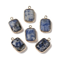 Blue Spot Jasper Natural Blue Spot Jasper Faceted Pendants, Golden Tone Brass Rectangle Charms, 19x11.5x4mm, Hole: 1.6mm