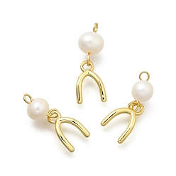 Настоящее золото 18K U-образные подвески из латуни и натурального жемчуга, стойки покрытие, долговечный, без кадмия и без свинца, реальный 18 k позолоченный, 20.5 мм, отверстие : 1.8 мм