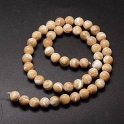 Light Salmon Natural Sea Shell Beads Strands, Round, Light Salmon, 8mm, Hole: 0.8mm, about 51pcs/strand, 15.75 inch