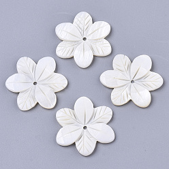 Ivoire Perles de coquillages naturels d'eau douce, sculpté, fleur, blanc crème, 29~30x26x3mm, Trou: 1.6mm