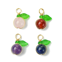 Смешанные камни 4шт. 4 стили подвески в форме яблока из натурального лазурита и сердолика (окрашенного и нагретого), розового кварца и аметиста, Фруктовые подвески с зеленым акриловым листом, золотые, 16.5x13.5x8 мм, отверстие : 3.5 мм, 1 шт / стиль