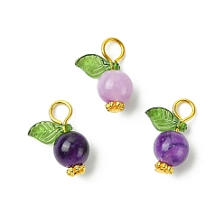 Фиолетовый Акриловые подвески, с железными штифтами с плоской головкой, фруктовые прелести, фиолетовые, 15x11.5x7.5 мм, отверстие : 2 мм