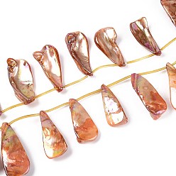 Коралловый Нити бусин из натуральных пресноводных ракушек, окрашенных в цвет AB, слеза, Топ пробуренной, коралл, 33~49x14~23x5~11 мм, отверстие : 0.5 мм, около 13 шт / нитка, 11.69~12.20'' (29.7~31 см)