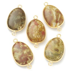 Камень из кости дракона Соединители звеньев естественной кости дракона, с золотыми латунными краями, Плоско-овальные, 30.5x17x6 мм, отверстие : 1.5 мм