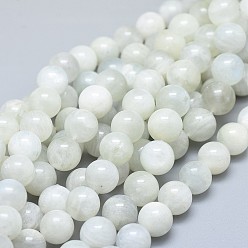 White Moonstone Натуральный белый лунный камень бисер пряди, круглые, 10 мм, отверстие : 0.8 мм, около 38 шт / нитка, 15.55 дюйм (39.5 см)