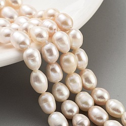 PeachPuff Natural Cultured Freshwater Pearl Beads Strands, Grade 3A, Oval, PeachPuff, 6.5~7mm, Hole: 0.7mm, about 22pcs/strand, 7.68''(19.5cm)