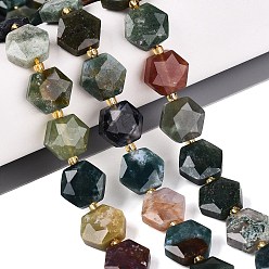 Indian Agate Natural Indian Agate Beads Strands, Faceted Hexagon, with Seed Beads, 11.5~12.5x13~14x4~5.5mm, Hole: 1~1.2mm, about 26~28pcs/strand, 14.37~15.75 inch(36.5~40cm)