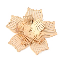 Золотой Шапочки и конусы для бусин, латунные, цветок, золотые, 23x24.5x3 мм, отверстие : 1 мм